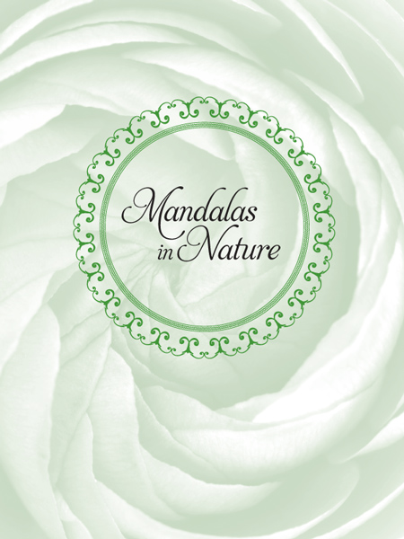 MandalasinNaturetitle